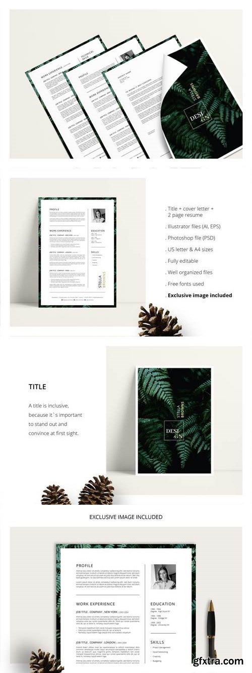 FERNS Resume/CV + Cover Letter