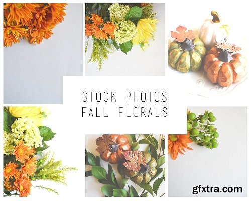 CreativeMarket Fall Holiday Photo Bundle 2028270