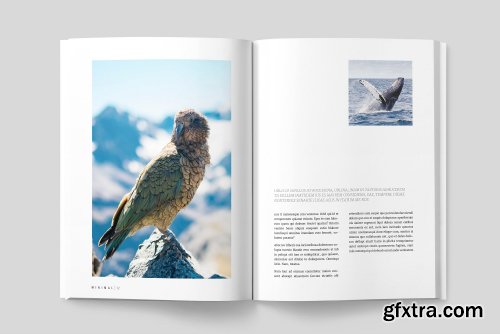 CreativeMarket MINIMAL MAGAZINE 2025418