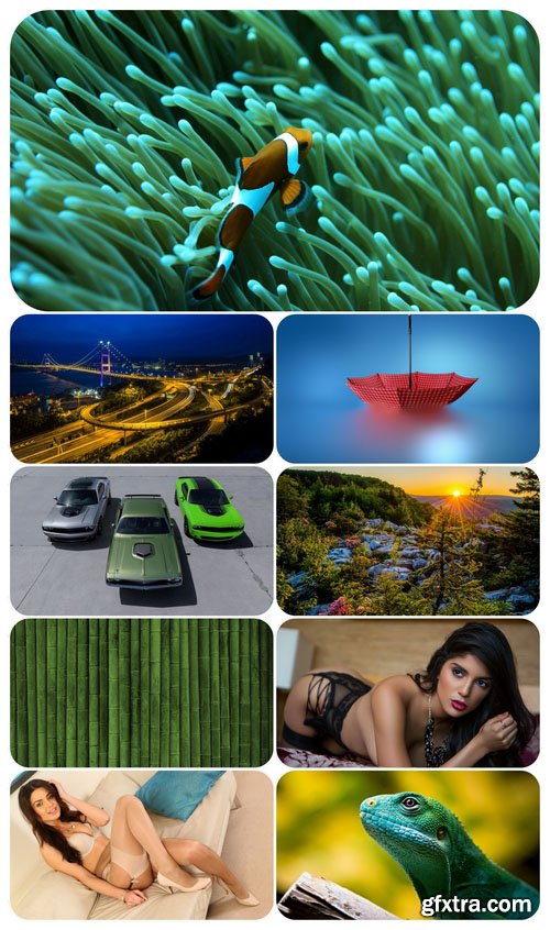 Beautiful Mixed Wallpapers Pack 585