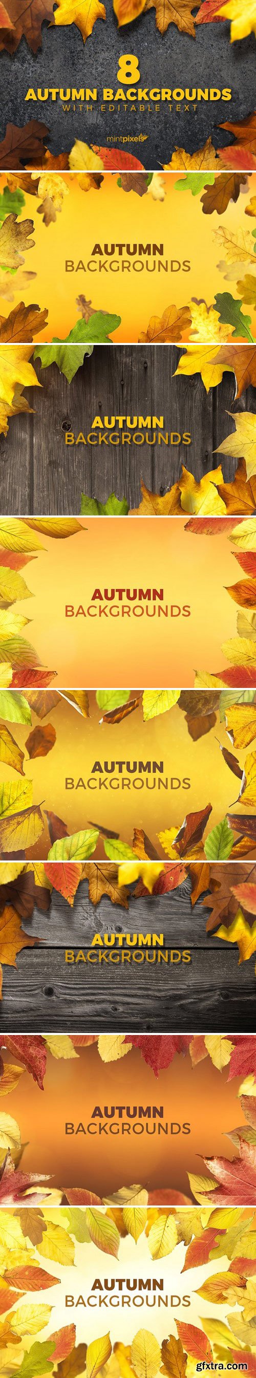 CM - 8 Colorful Autumn Backgrounds 2025124