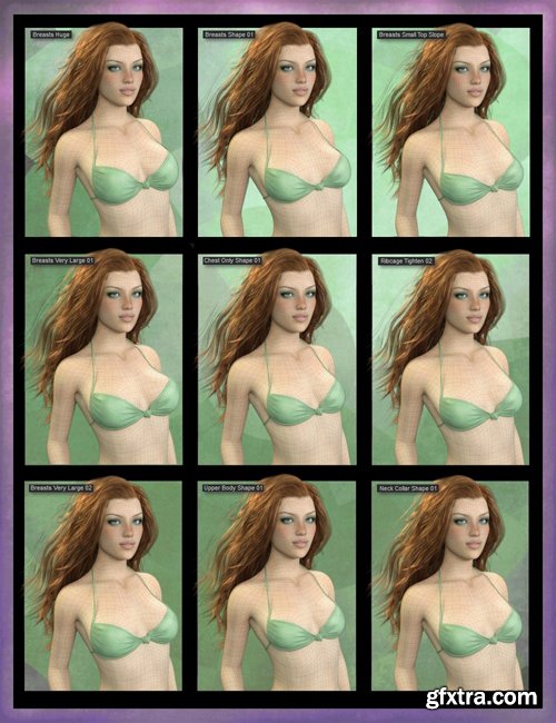 Genesis 8 Female Body Morph Resource Kit 3