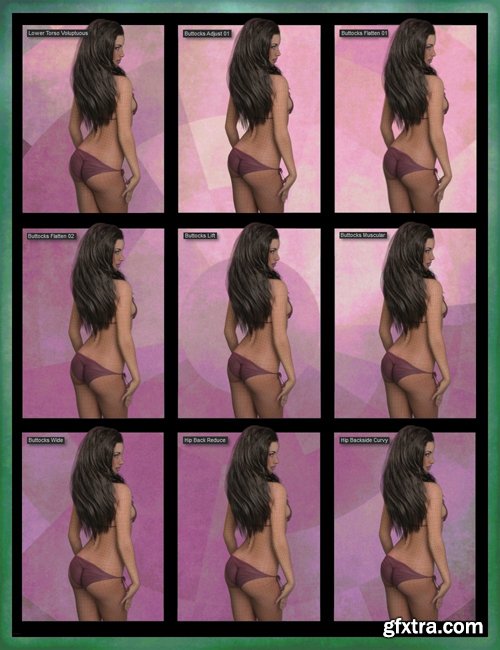 Genesis 8 Female Body Morph Resource Kit 3