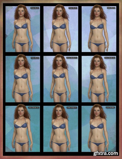 Genesis 8 Female Body Morph Resource Kit 3