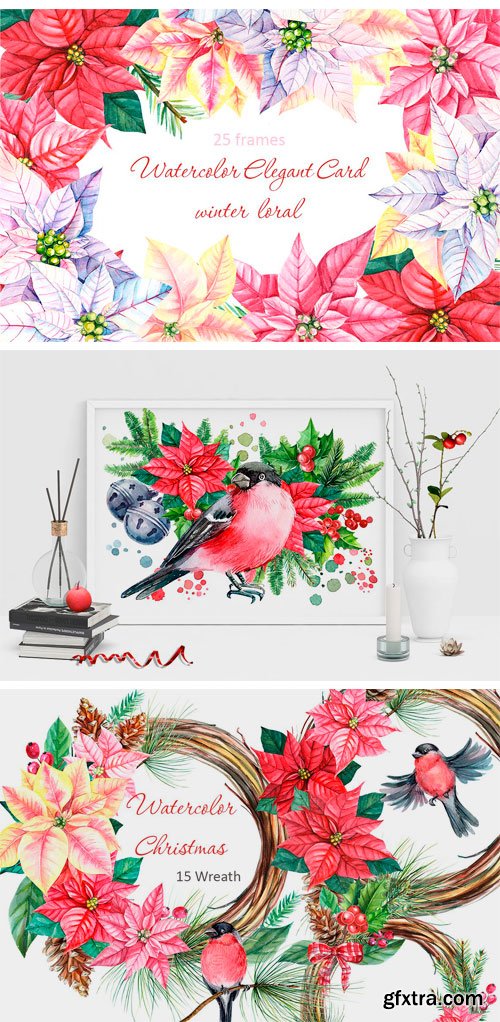 CM - Winter Birds and Floral Illustration 2010561