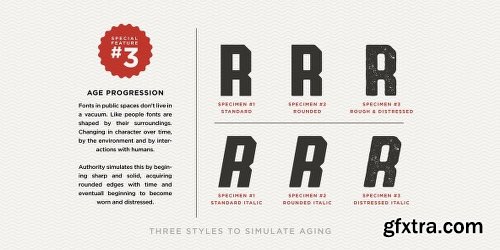 Authority Font Family - 6 Fonts