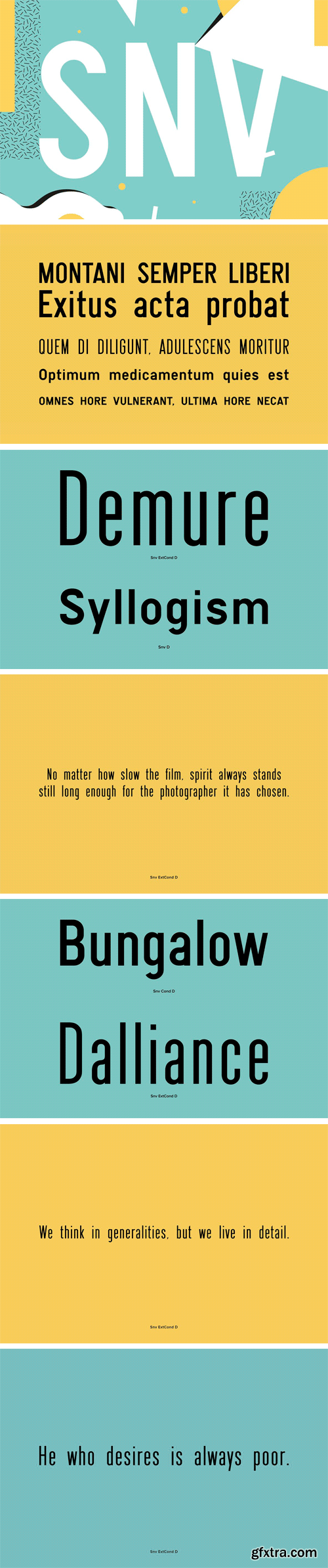 Snv Font Family