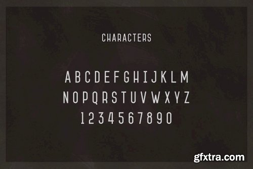 Jameson Family - 4 Fonts