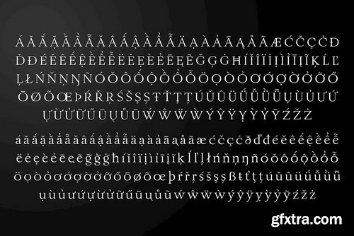 JT Alvito Font Family