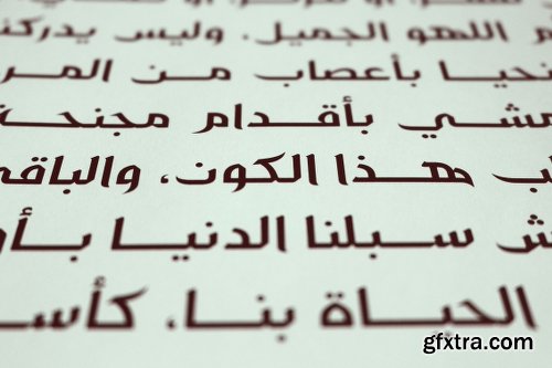 CreativeMarket Zahey - Arabic Font 1872805