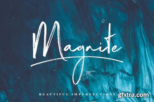 Magnite Brush Script Font Family - 4 Fonts