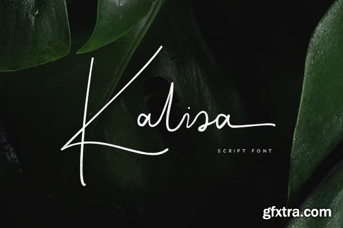 CreativeMarket Kalisa Signature Font 2026774