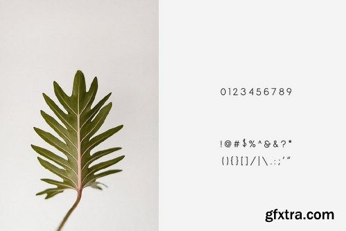 CreativeMarket Espresso - Minimal Display Font 2028290