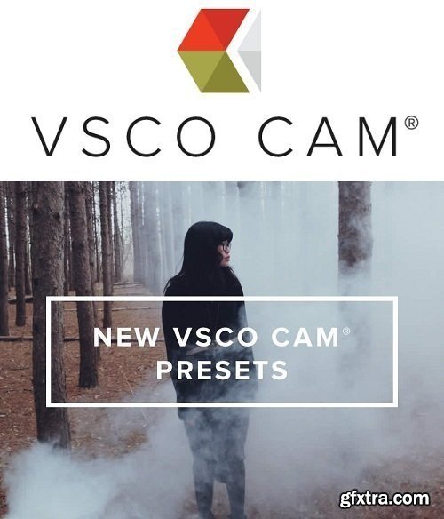 VSCO CAM Presets in LUTs (.cube) for AE, Photoshop, Premiere, Resolve and FCP X (Win/Mac) COMPLETE