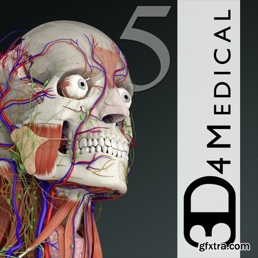 Essential Anatomy 5.0.5 (macOS)