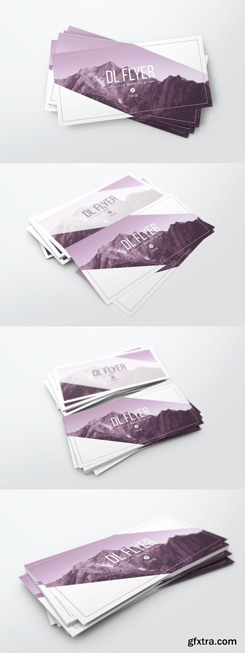 DL Flyer Mockups