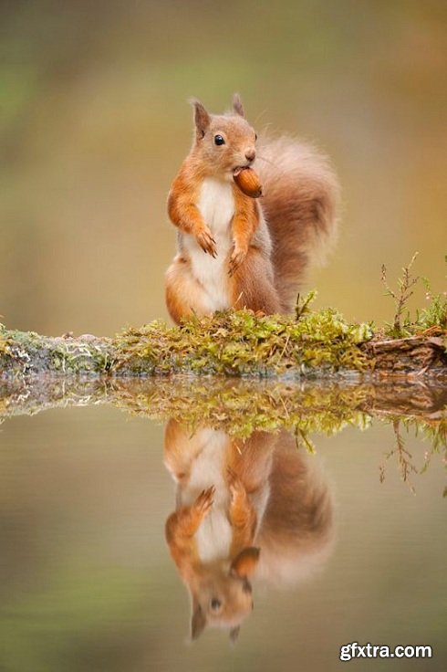 Photographing Wildlife at a Preserve