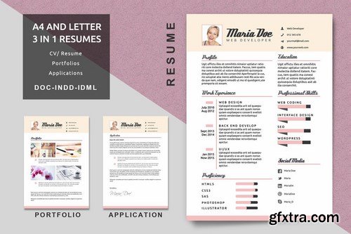 Resume Vol 01