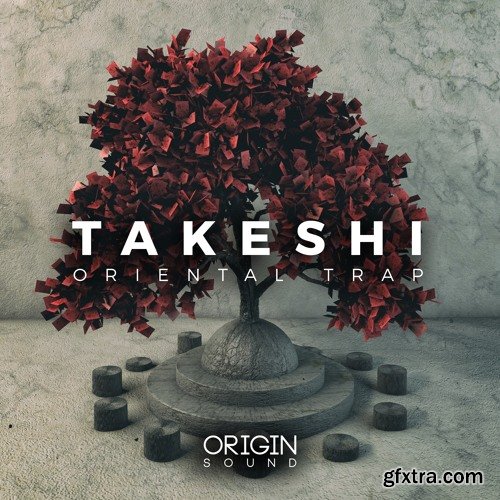 Origin Sound Takeshi WAV MiDi-DISCOVER