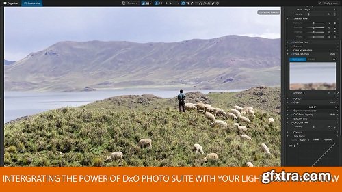 DxO Photo Software Suite (28.11.2017) (macOS)