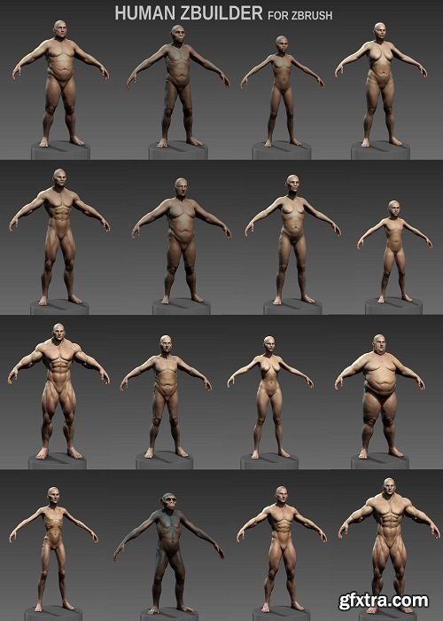 Human Zbuilder V2 for Zbrush (WIN/MAC)