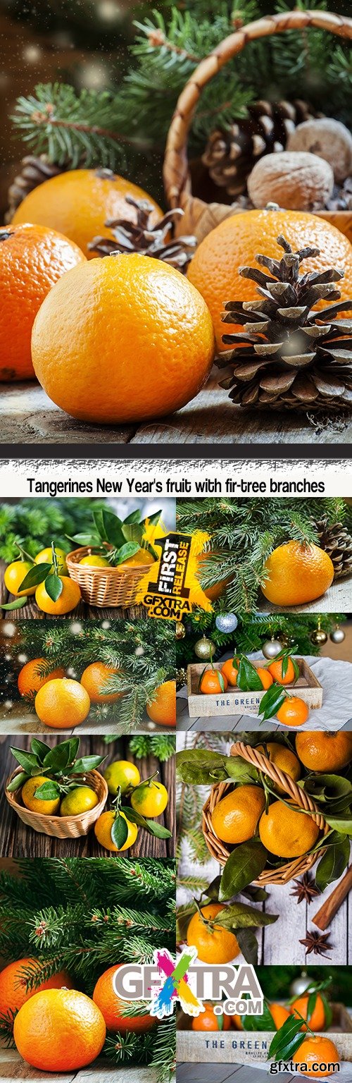 Tangerines New Year\'s fruit with fir-tree branches