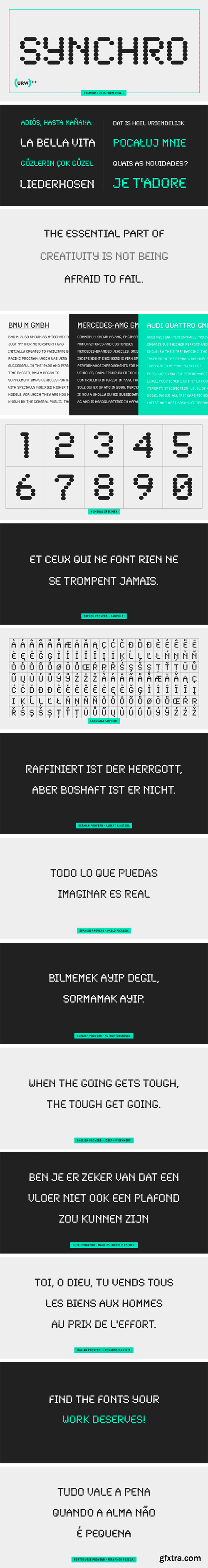 Synchro Font Family