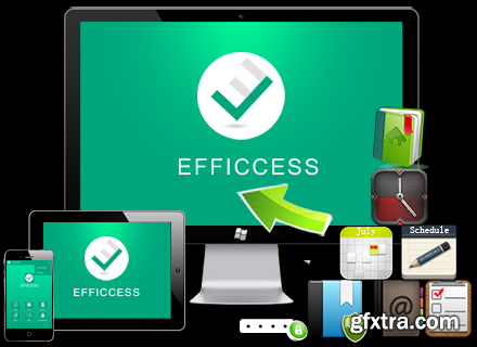 Efficient Efficcess 5.50 Build 536 Multilingual