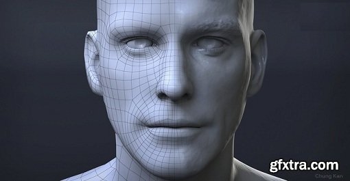 Gumroad - Human Face Topology For Production