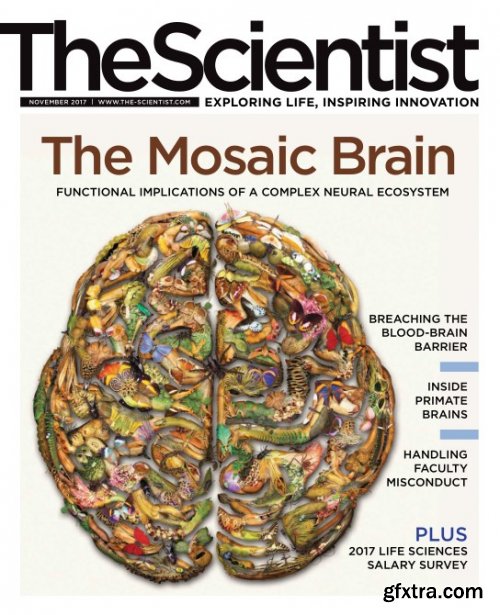 The Scientist - November 2017