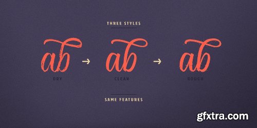 Rockeby Brush Font Family - 4 Fonts