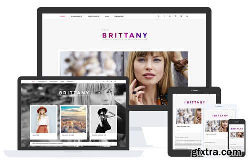 Brittany v1.6 - Blog & Shop Theme - CM 648541