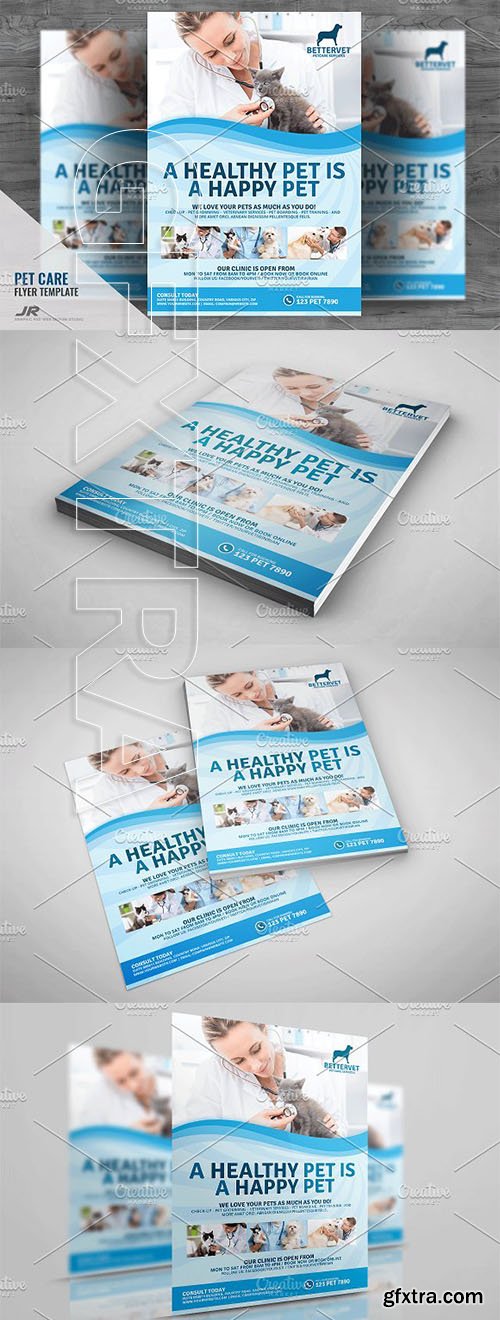 CreativeMarket - Veterinary Clinic and Service Flyer 2082295