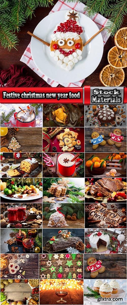 Festive christmas new year food sweetness turkey 25 HQ Jpeg