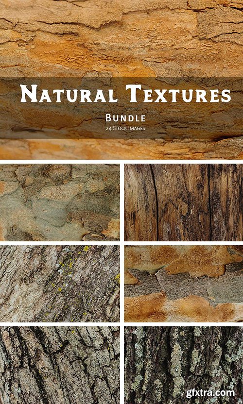 CM - Natural Textures of Wood & Bark 2037514