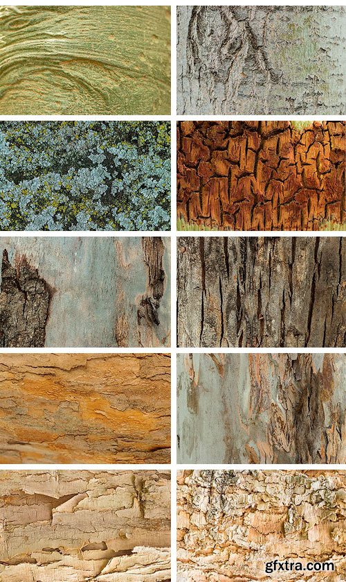 CM - Natural Textures of Wood & Bark 2037514