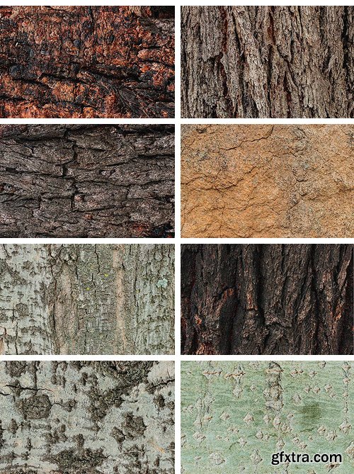 CM - Natural Textures of Wood & Bark 2037514