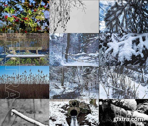 CM - Winter Photo Bundle 1909498