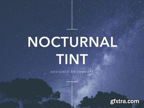 Nocturnal Tint PowerPoint Template