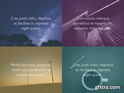 Nocturnal Tint PowerPoint Template