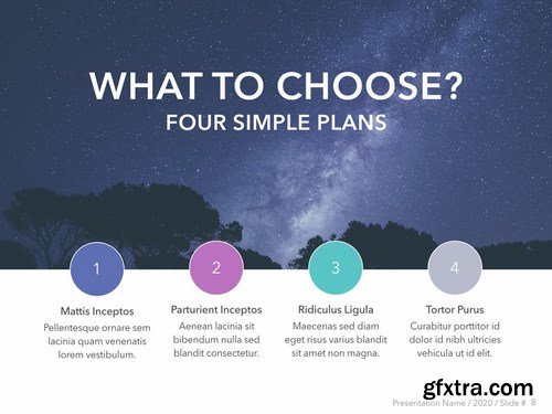 Nocturnal Tint PowerPoint Template