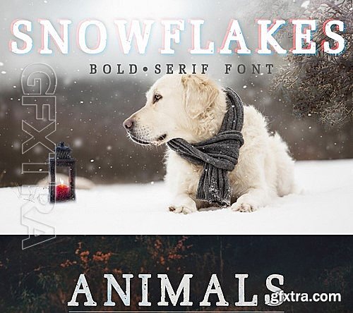 CM - Snowflake font 2106868