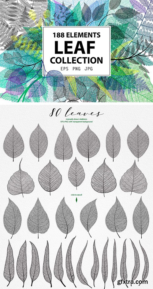 CM - Leaf Collection 2053452