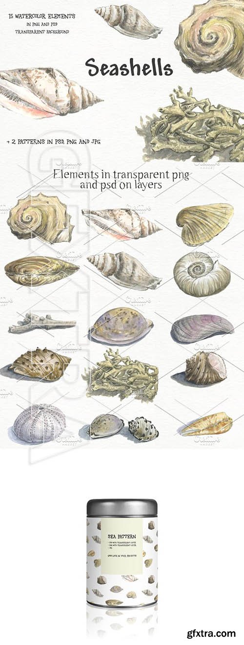 CreativeMarket - Seashells - watercolor elements set 2065974