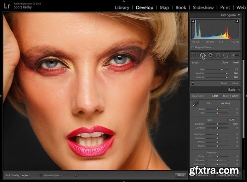 KelbyOne - Lightroom Series: Sharpening Online By Scott Kelby