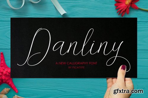 CreativeMarket Danliny Script 2089691