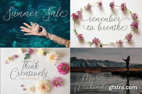 CreativeMarket Danliny Script 2089691