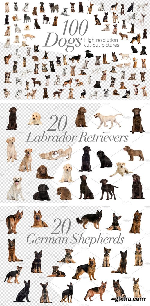 CM - 100 Dogs Bundle - Cut-out Pictures 2042414