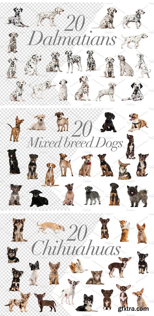 CM - 100 Dogs Bundle - Cut-out Pictures 2042414