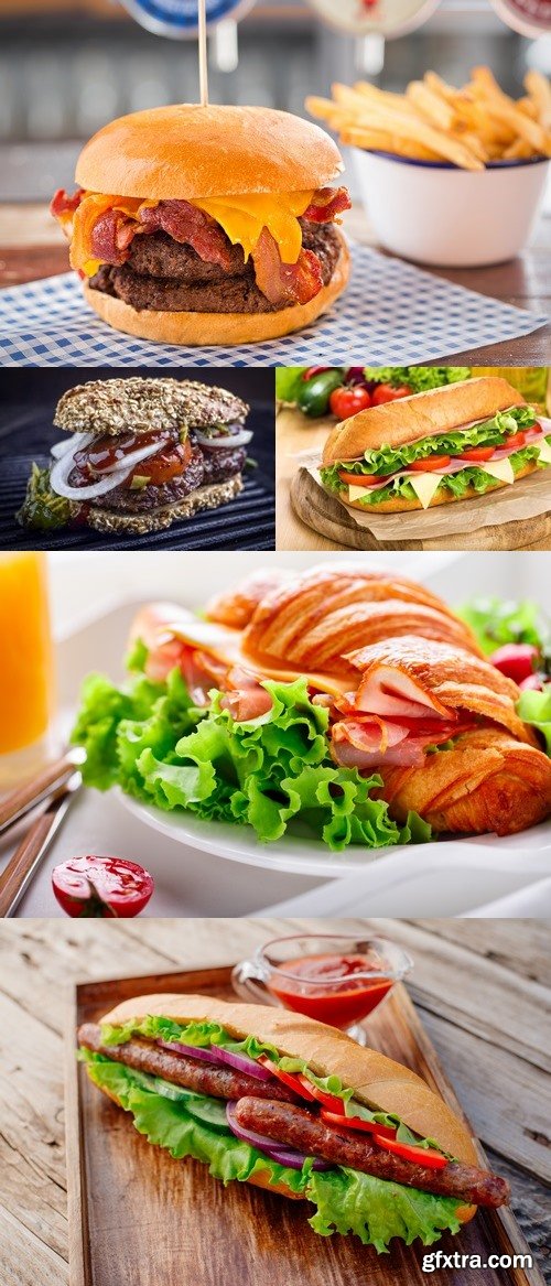 Photos - Appetizing Fastfood Mix 117